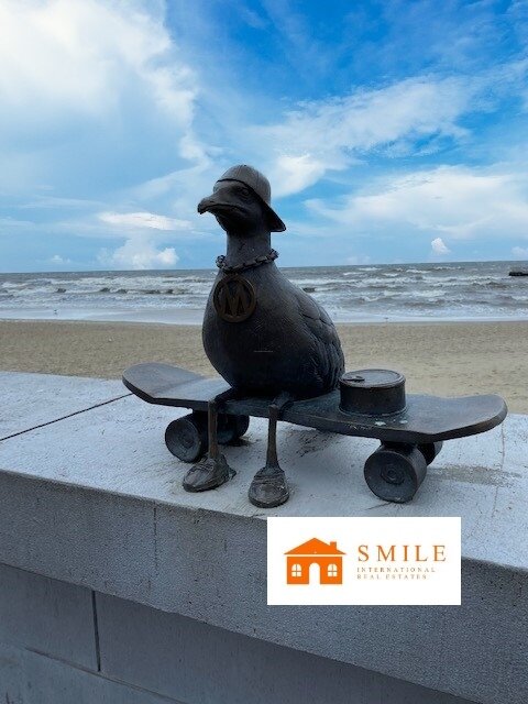 Moderne Eigentumswohnung mit Balkon und Komfort an der Ostsee Moderne Eigentumswohnung mit Balkon und Komfort an der Ostsee